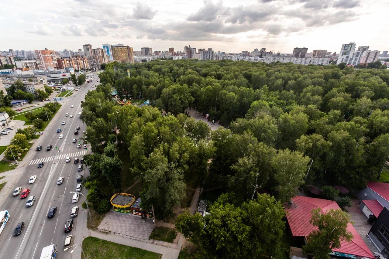 Фото В Новосибирске врач Овсянникова рассказала, может ли тополиный пух прорасти в легких 2